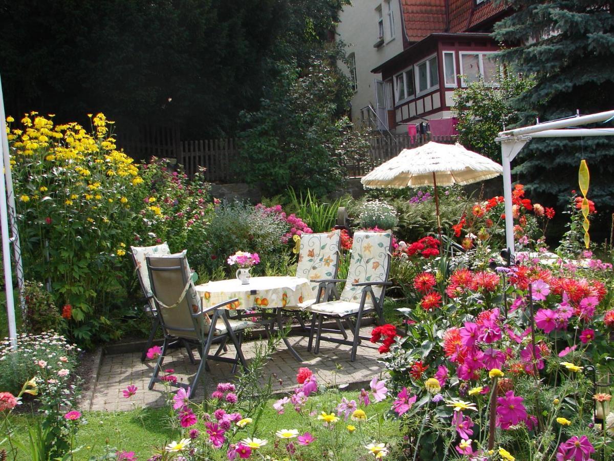 Abendroete Apartment Wernigerode Exterior foto